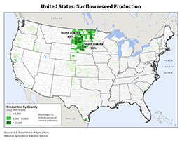 images\US\cropprod\USA_Sunflowerseed_preview.png